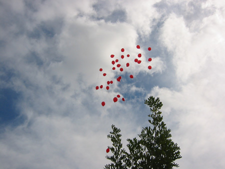 go to Tony's Bday pix